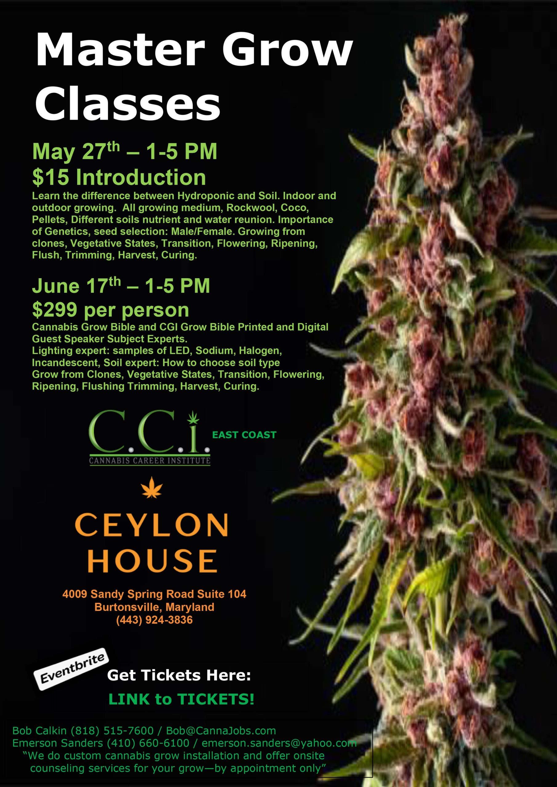 Cannabis-Grow-Flyer---042623